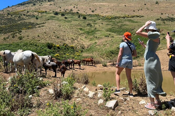 1-Day Tour in Blue Eye, Monastery, Gjirokaster and Lekursi Castle - The best fit for this day trip