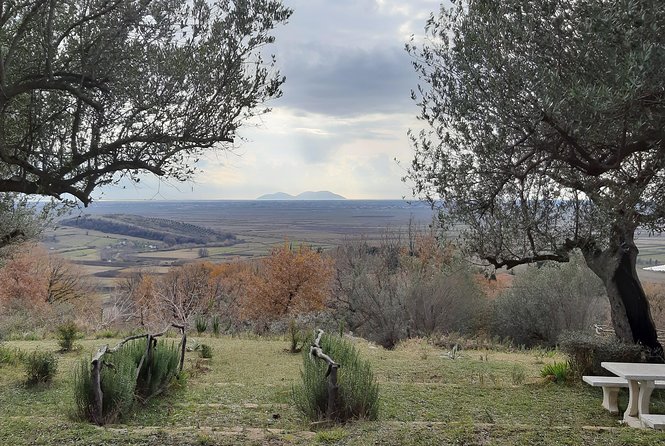 1001 Windows of Berat & Golden Sunset in Apollonia - Choosing the optional traditional lunch