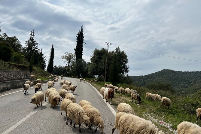2 Day Tour of the Riviera, Gjirokastra UNESCO city and Blue Eye, - Walking to the Blue Eye spring