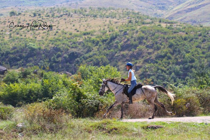 2-Hours Guided Drino's Valley Ride - Farms, herds, and the marks of collectivization