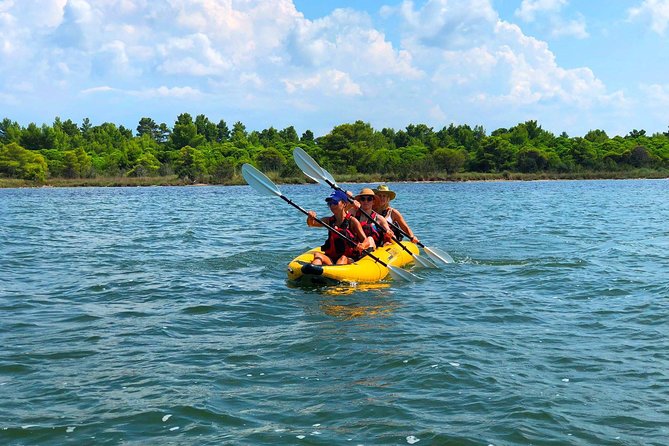 Albania Birdwatching, Kayaking, Bicycle National Park Divjaka Karavasta(ARG) - Starting at 10 a.m. in Divjaka-Karavasta