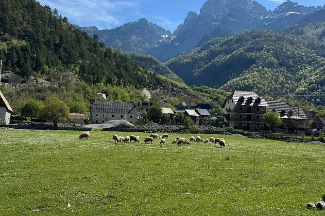 Albanian Alps and Theth Village Day Tour from Tirana - Weather, timing, and comfort
