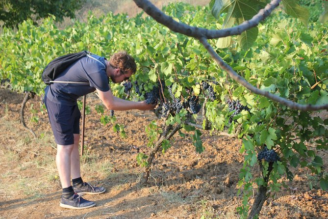 Albanian Highlights - UNESCO sites ,Nature and Food tour - Why this route gives you a useful first look at Albania