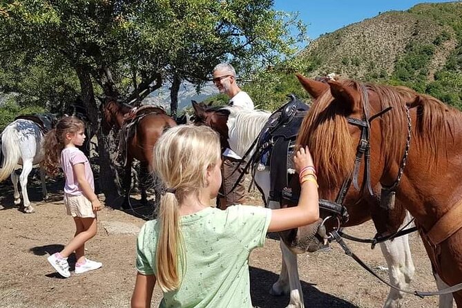 Amazing Horse Riding Experience at Vjosa National Park in Permet - A four-hour ride with real breaks