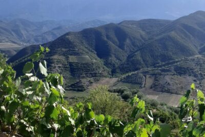 Berat 4×4 Off-Road and Vineyard Wine Tasting