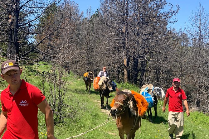 Berat Hiking Off Road picnic lunch in Tomori Holy Mount - The rough road to Qafe Dardhe