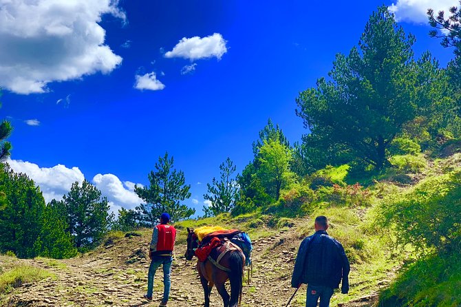 Berat Hiking Off Road picnic lunch in Tomori Holy Mount - Meeting the shepherds and riding the mules