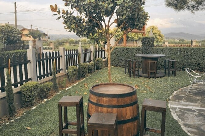 Berat wine Tour Guided Winery Tour with Transfers and Tastings - Meeting the family representative and the Professor