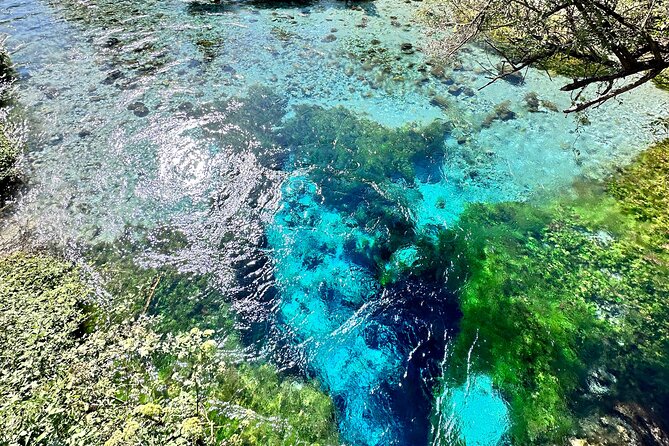 Blue Eye and Gjirokaster, Half Day Nature & Historical Tour - Reaching the Blue Eye through the natural park