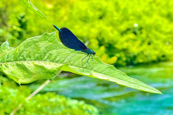Blue Eye And Lekuresi Castle, 4 Hour Nature and Historical Tour - Should you book the Blue Eye and Lekuresi Castle tour?