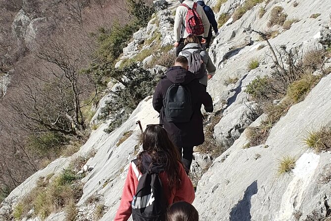 Bovilla lake Hiking Experience - How the private format affects the experience