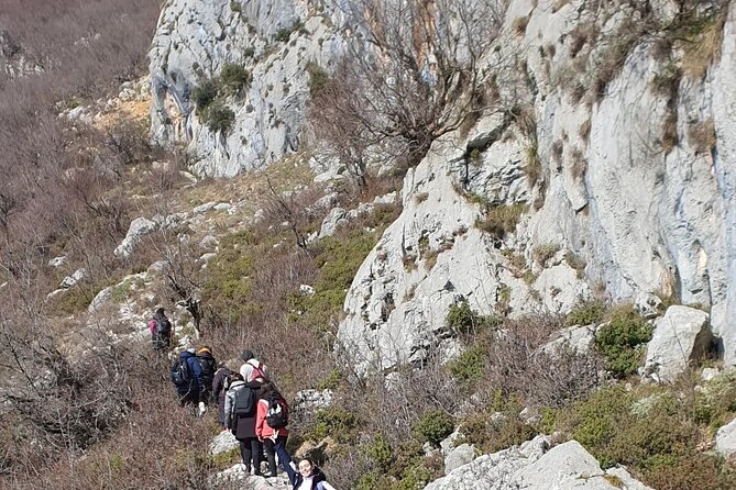 Bovilla lake Hiking Experience - Is $71.20 a fair price?