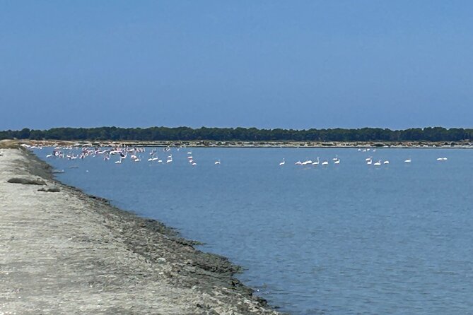 Day tour of Apollonia Park, Vlore and Narta from Tirana&Durres - Who will enjoy this tour most?