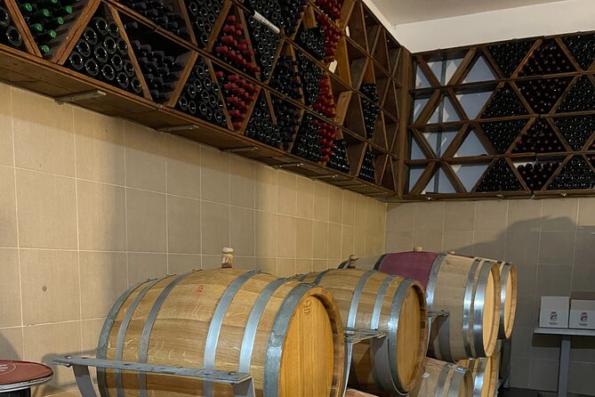 Durres & Wine Tasting Tour - Timing, Weather, and Practical Details