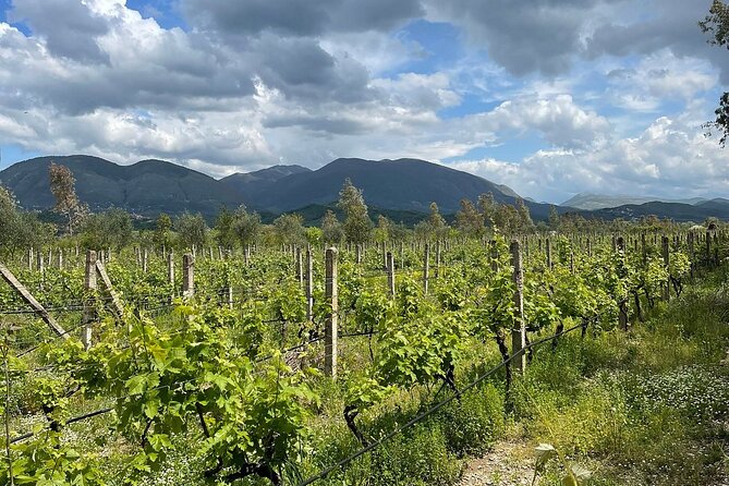 Experience Blue Eye , Lekuresi Castle and Taste Traditional Albanian Wine - Albanian wine at Kantina E Veres Isak