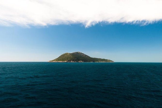 Explore Vlora Bay: Sazani Island &Karaburun peninsula from Tirana - Karaburun Peninsula and Haxhi Aliu Cave