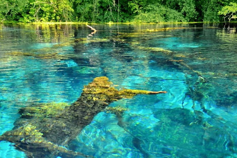 From Durrës/Golem: Saranda, Ksamil, and Blue Eye Day Trip - Who will enjoy this full-day outing