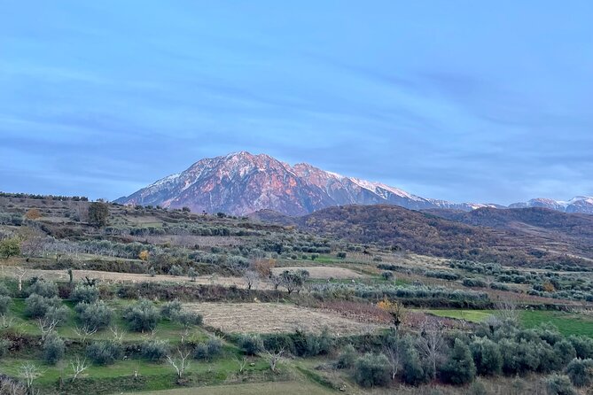 From Tirana: Berat UNESCO & Belshi Lake Full-Day Tour - Guides, group size, and the road back to Tirana