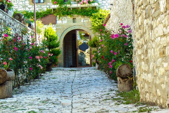From Tirana: Private Berat Full-Day Trip, Private Guide/Car - What the private format adds