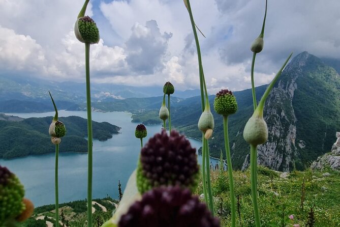 Hiking to Gamti, Bovilla Lake and Kruja Day Trip from Tirana - Entering Kruja through the old bazaar