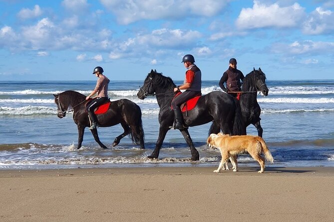 Horseback Riding Adventure in Durrës for Experienced Riders - From meadow paths to the beach near Durrës
