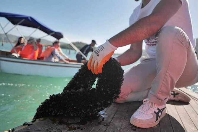 Ksamil: Mussel Sailing Tour with Food and Drink in Albania - Sailing to Kalivoi for a lakeside meal