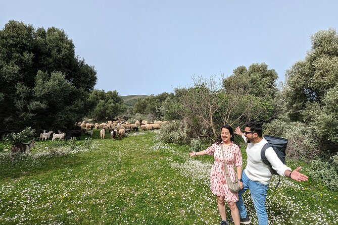 Llogara Caesar's Path,Orikum Park & Marmiroi Church Guided Tour - Walking Caesar’s Path for about one hour