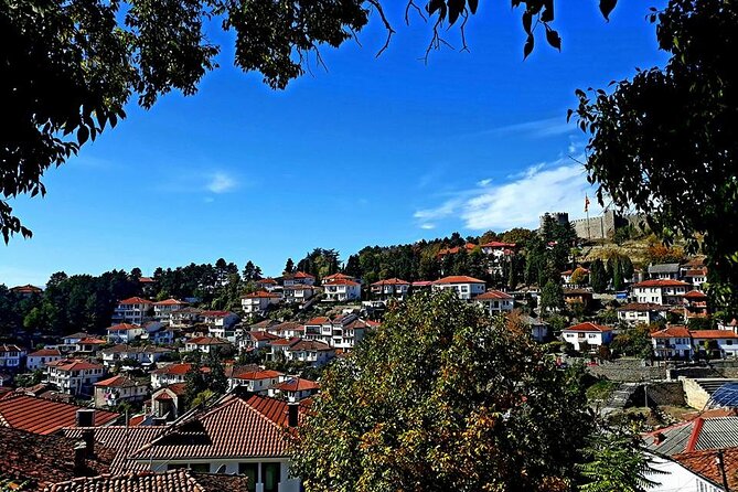 Ohrid, Full Day Trip from Tirana - What the guide adds to the experience
