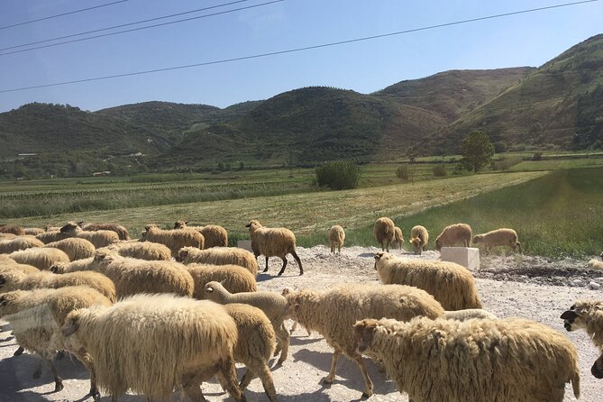Outdoor Experience in Amantia Archeological Park & Brataj Bidge - Lepenice cave paintings from the 3rd millennium BC