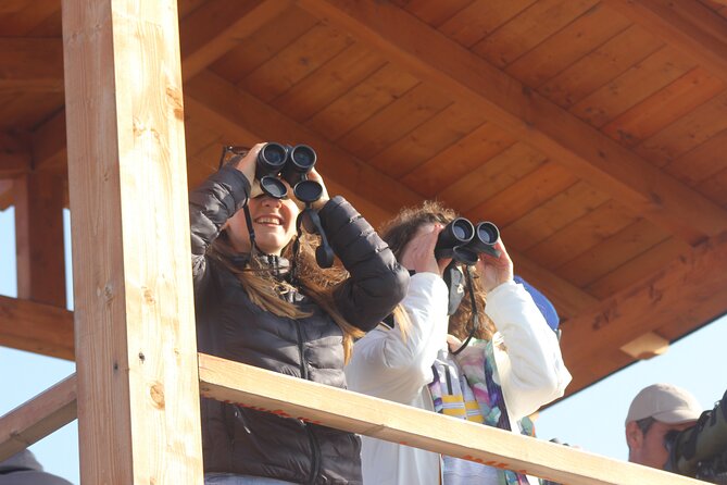 Private Birding Tour in Albania - What a five-day route may look like