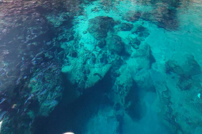 Private Half Day Boat Sazani Island & Haxhi Aliu Cave - Food, drinks, and what to bring