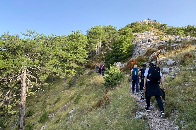 Private Hiking Tour in Çika Mountain - Climbing through pine forest toward Çika’s summit
