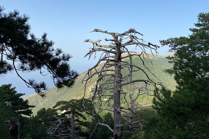 Private Hiking Tour in Çika Mountain - Is $192.24 a good value for up to four?