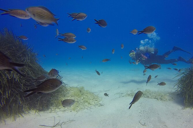 Scuba Diving in MIG-21 wreck - Meeting the Team and Getting Ready