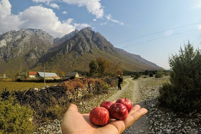 Self-Guided Hiking Tour: Theth, Valbona & Koman Lake in 5 days - Day 5: Koman Lake and the long return south