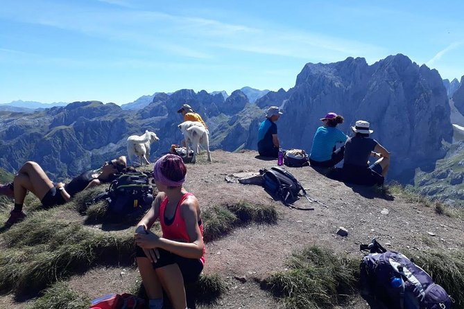 Semi-Private Hiking Tour; Peaks of the Balkans in 10 days - Day 2: Maja e Berishdolit at 1,977 meters