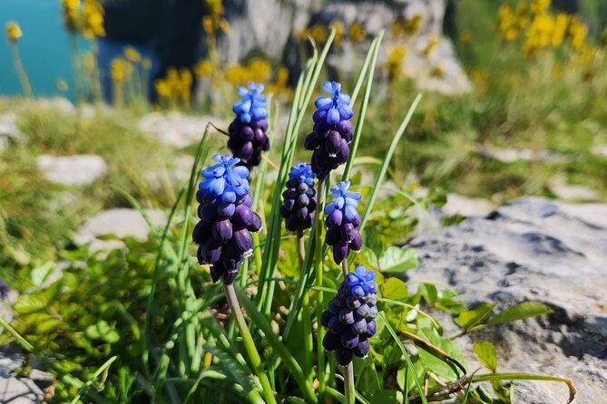 Semi – Private Tour at Cape of Rodon; Hidden Beaches & History - Reaching Cape of Rodon from Tirana