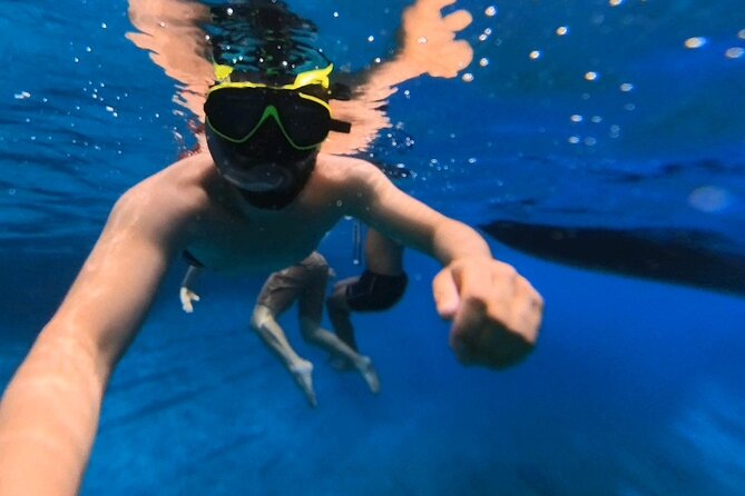 Snorkeling 360 Experience in Sazan Island & Karaburun - Is $48.39 a good price?