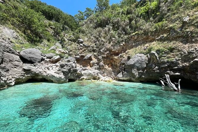 Speed Boat Tour to National Park and Grama Bay - Dafina Bay and time for the water
