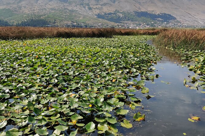 Stand Up Paddle Board or Kayak Rental in Shkodër - Return transport costs extra