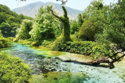 Tour to Butrint Antic City/Blue Eye Spring/Lekursi Castle