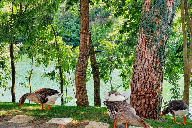 Vineyards, Albanian Wine Tasting & Boat Tour from Tirana/Durres - How much value do you get for $95.34?