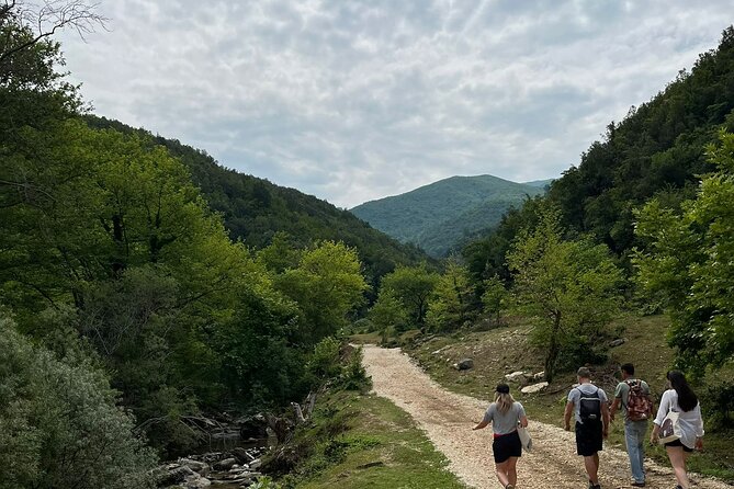 Waterfalls and wine flows - Bogova waterfall and Alpeta Winery Winetasting tour - Bogova’s 20-meter fall and cold swimming pool