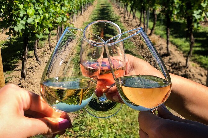 Wine Tasting & Vineyards Escape near Tirana - Time for views instead of a rushed departure