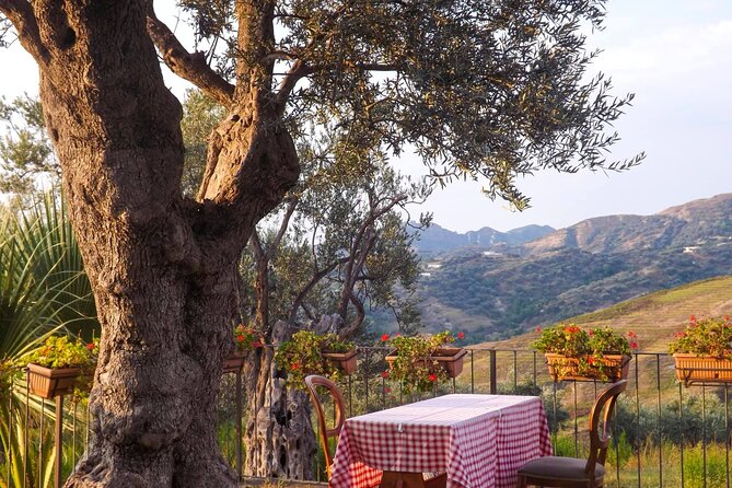Wine Tasting & Vineyards Escape near Tirana - What the $118.58 price really covers