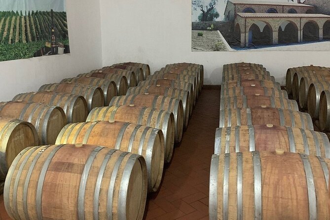 Wine Tasting & Vineyards Escape near Tirana - Who will enjoy this winery escape