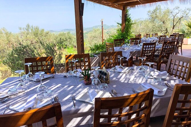 Wine Tasting & Vineyards Escape near Tirana - Should you book the Tirana wine tour?